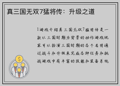 真三国无双7猛将传：升级之道